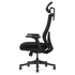 Lifespan Fitness DM9 Ergonomic Mesh High Back Office Chair LFOC-DM9BK-1 image NaN