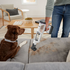 Shark Cordless Detect Pro with Auto Empty System IW3611 image NaN