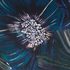 Missoni Fireflowers 150 Cushion 40x40 8051575837180 image NaN