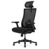 Lifespan Fitness DM9 Ergonomic Mesh High Back Office Chair LFOC-DM9BK-1 image NaN