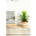 Rug Culture Legacy Medium Multi-coloured Rug 300X80CM - LEG-863-NAVY-300X80 image NaN