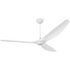 Big Ass Fans 2.1m Haiku Outdoor in White with Universal Mount, Light and Tall Ceiling Kit FR213A-U0G12-4 image NaN
