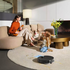 Dreame X60 Ultra Robot Vacuum Cleaner with Mop DRE-X60U image NaN