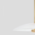 CTO Lighting Cielo Large Pendant Light - Satin Brass CIEPELSBFG image NaN