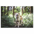 Tractive GPS Tracker for Cats and Dogs - 50497 image NaN
