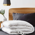Linen House Single Electric Quilted Blanket 01223D424 image NaN