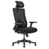 Lifespan Fitness DM9 Ergonomic Mesh High Back Office Chair LFOC-DM9BK-1 image NaN