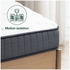 Zinus King Single I coil Pocket Spring Mattress AU-MSSBO1ZC-06B image NaN