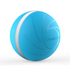 Cheerble Wicked Ball Blue 5391 image NaN