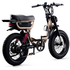 Flight Risk FR333 E-Bike Champagne ATV07DSCH image NaN