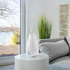 Beurer Air Humidifier/Aroma Diffuser LB37 image NaN