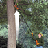 Black & Decker Lithium-ion Pole Pruner GPC1820L20-XE image NaN