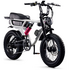 Flight Risk FR555 E-Bike White ATV08XSWH image NaN