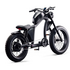 Flight Risk FR666 E-Bike Black FT02BK image NaN