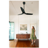 Big Ass Fans Haiku L Black 52 Inch Ceiling Fan with LED 128mm Drop Tube HAIKULBL52128MMLED image NaN