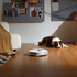 Roborock Qrevo Edge C Robotic Vacuum Cleaner White RR-QREC02-03-WHT image NaN