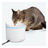 Dogness Water Fountain Plus 3.2L Dusty Pink 10594 image NaN