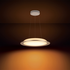 Philips Hue Muscari Pendant - HUEMUSCARIPD image NaN