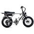 Flight Risk FR505 E-Bike Silver ATV08SL image NaN