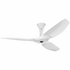 Big Ass Fans Haiku I 1524mm Low Profile Mount LED Ceiling Fan with Light White F150I-LW-00-01 image NaN