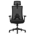 Lifespan Fitness DM9 Ergonomic Mesh High Back Office Chair LFOC-DM9BK-1 image NaN