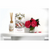 Collette Dinnigan Diffuser Aventino di Roma DADR image NaN