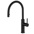 Titan Essentials 500mm Single Bowl Sink & Pull Out Gooseneck Kitchen Mixer Tap Package - Matte Black TSBSPK522 image NaN