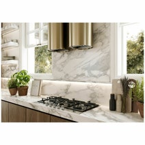 Whispair 36cm Paris Island Rangehood with Pro External Remote Motor Stainless Steel X7P04S5EP hero image