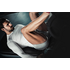 Cortex STATIONLP1 LP1 Vertical Leg Press image NaN