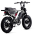 Flight Risk FR777 E-Bike Silver ATV08XSDUALSL image NaN