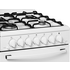 Westinghouse WDG101WA-L Elevated Gas Oven image NaN