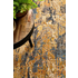Rug Culture Dreamscape Medium Rust Rug 230X160CM - DRM-860-RUST-230X160 image NaN