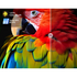 CHiQ 75 Inch QM10 4K QLED Smart Google TV U75QM10 [2025] image NaN