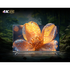 CHiQ 55 Inch QM10 4K QLED Smart Google TV U55QM10 [2025] image NaN