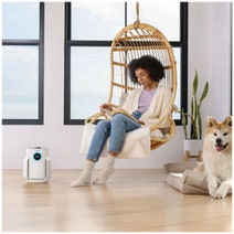 Shark NeverChange Air Purifier Compact Pro White HP072 hero image