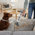 Shark Cordless Detect Pro IW1611 image NaN