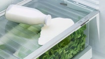Fisher & Paykel 517L Top Mount Fridge RF521TRPW6 hero image