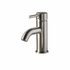 Rogerseller Tonic Basin Mixer - Brushed Nickel 3606000607 image NaN