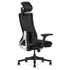 Lifespan Fitness DM9 Ergonomic Mesh High Back Office Chair LFOC-DM9BK-1 image NaN