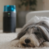 Dyson HushJet Compact Air Purifier 492715-01 image NaN