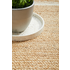 Rug Culture Nosa Medium Natural & White Rug 220X150CM OVAL - NSA-111-OVL-220X150 image NaN