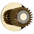 DCW Editions In The Sun 190 Sconce Light - Gold ITSS190GOGO image NaN