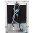 Dishlex DX203SK Dishwasher image NaN