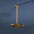 Rogerseller Tonic 200mm Shower Rose - Brushed Gold 3506000014 image NaN