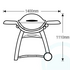 Weber Family Q Q3100 Natural Gas BBQ 56067224 image NaN