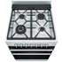 Westinghouse 60cm Dual Fuel Upright Oven- Stainless Steel WFE612SC image NaN