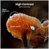 Hisense 32 Inch Q6S FHD Hi-QLED TV 32Q6SAU [2026] image NaN