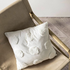 Linen House Haze White 45x45cm Cushion Twin Pack 01520D036FPK image NaN