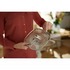 Airfryer XXL Light Snack Kit HD9954/01 image NaN