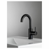 Rogerseller Tonic Gooseneck Basin Mixer - Matte Black 3606013611 image NaN